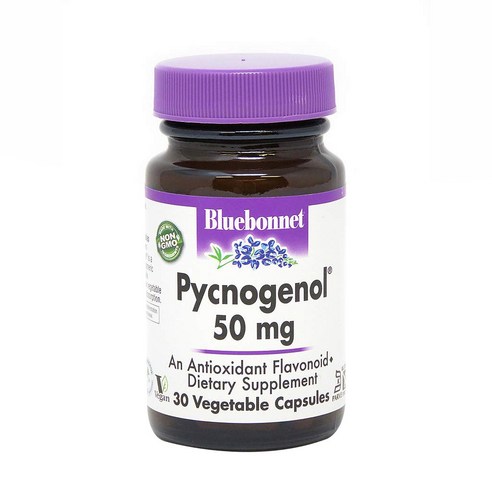 블루보넷 피크노제놀 50mg 글루텐 프리 비건 무설탕 브이캡, 30개입, 1개