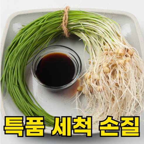 [200박스한정봄나물] 국산 세척 손질 달래