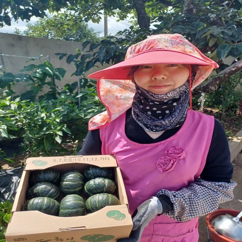 제주 밤호박 단호박 밤호박 보우짱 해남 밤호박 1.5kg 3kg 5kg 10kg 20kg, 1개, 밤호박5kg