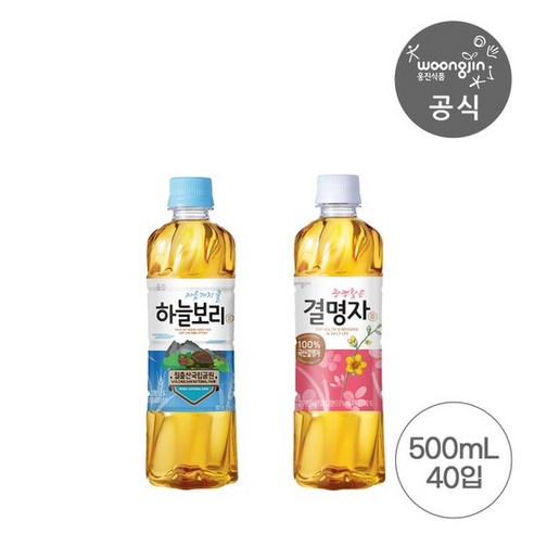 베스트 차음료 묶음 하늘보리 500ml 20펫+결명자차 500ml 20펫, 없음