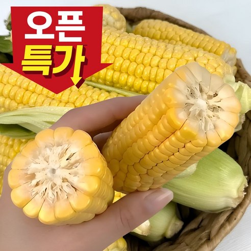 [오픈특가] 프리미엄 고품질 햇 초당옥수수