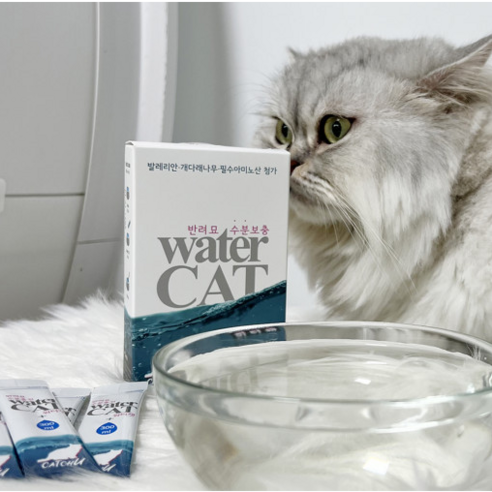 워터캣[water cat]20%OFF/특가기획!! 한정수량/물안먹는고양이/반려묘수액/정수기/음수량증대/츄르/영양제, 1개, 36g