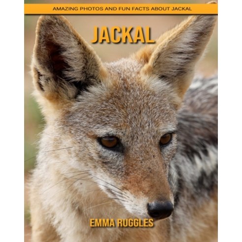 Jackal: Amazing Photos and Fun Facts about Jackal Paperback, Independently Published, English, 9798739422972