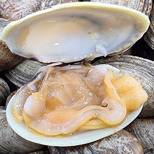 남해에서 선별된 신선하고 맛있는 왕바지락