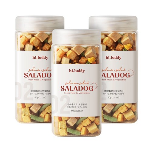 샐러독 강아지 동결건조 간식 연어 야채 60g, 3개