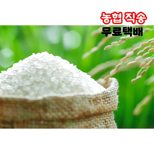 윤기 자르르 찰진 밥, 농협 한눈에 반한쌀로 밥맛 고민 해결!