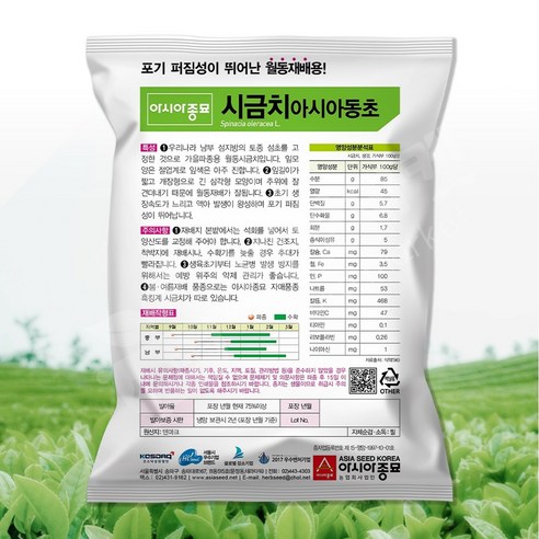아시아동초 시금치 씨앗 400g 월동시금치씨 토종 섬초 종자, 1개