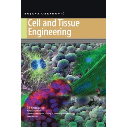 (영문도서) Cell and Tissue Engineering Paperback, Springer, English, 9783662585443