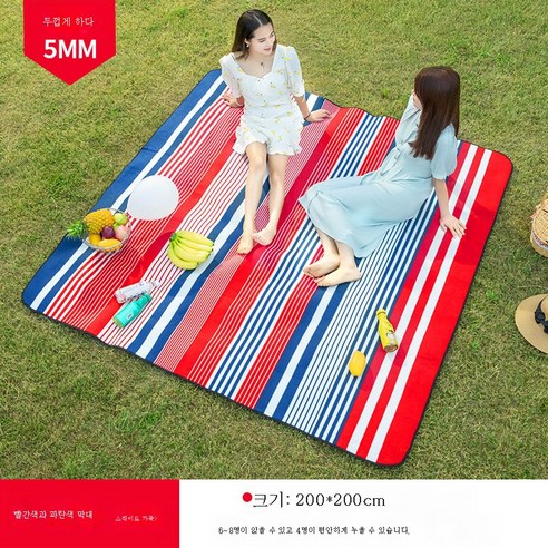DFMWI.피크닉 매트.Picnic mat.--피크닉 매트 피크닉 패드 방습 패드 비치 매트 초경량 휴대용 캠핑 봄나들이 야취 방수와 두터운 평 매트, 빨간색과 파란색 스트립 flocking 크기 200x