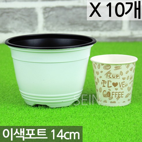 세인화분 국산 화이트 이색포트 화분 10P - 14호 15호 17호, 화이트 이색포트(14호)