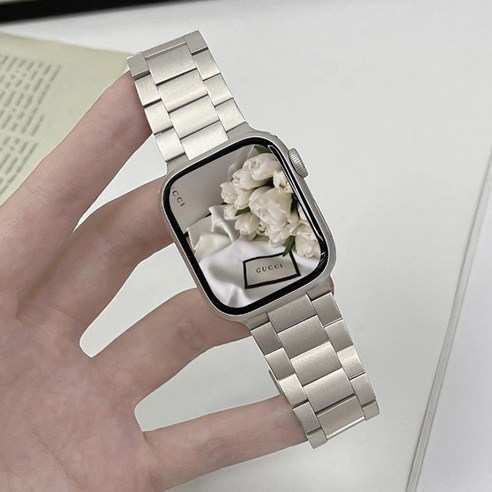 [용꼬리용용] 애플워치 스트랩 베스트 모음 SE 3 4 5 6 7 8, 42/44/45/49mm, 샴페인실버