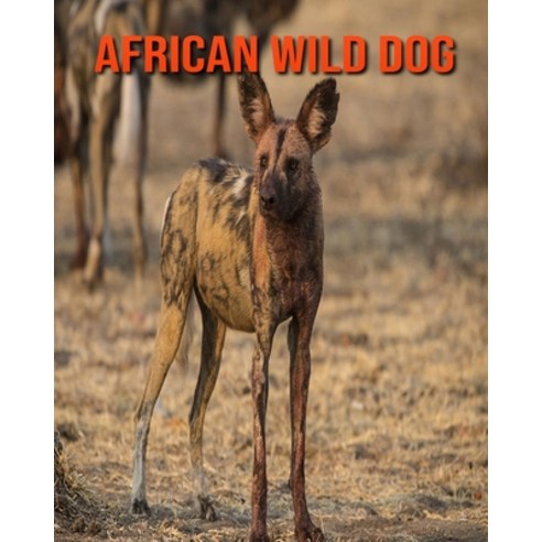 African Wild Dog: Beautiful Pictures & Interesting Facts Children Book About African Wild Dog Paperback, Independently Published