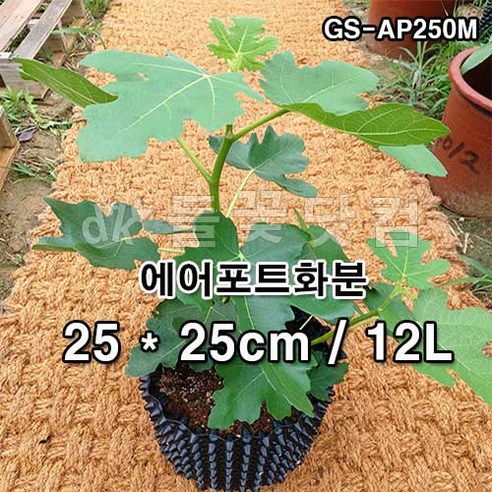 에어포트화분 루트플러스 마술화분 매직화분, 할인 가격, 특징, 사용 후기