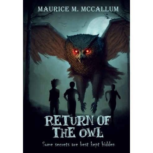 (영문도서) Return of the Owl: Some Secrets Are Best Kept Hidden Paperback, Jacinth Media Productions, English, 9781960594181