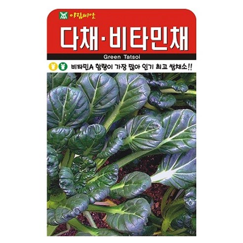 다채 비타민채 씨앗 씨 종자, 3개