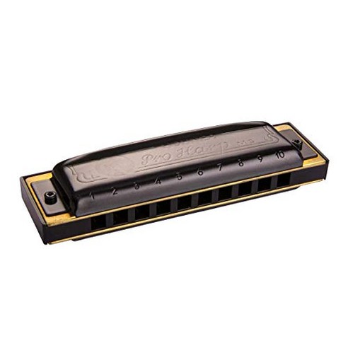 HOHNER PRO HARPA 프로하프 10홀 하모니카