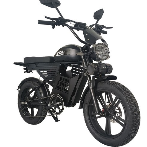 언덕길 걱정 없이 스타일리시한 라이딩 킥싸다KSD-RX7