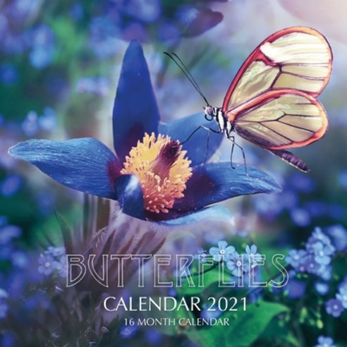 Butterflies Calendar 2021: 16 Month Calendar Paperback, Independently Published