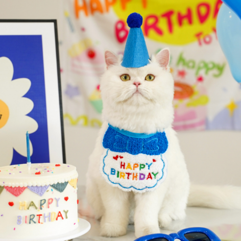고양이 생일 파티 고깔 모자 케이프 세트 강아지 돌잔치 반려묘 반려견 꼬깔 애견 턱받이 용품 사진 소품 스카프 잔치, 1개, 파랑색