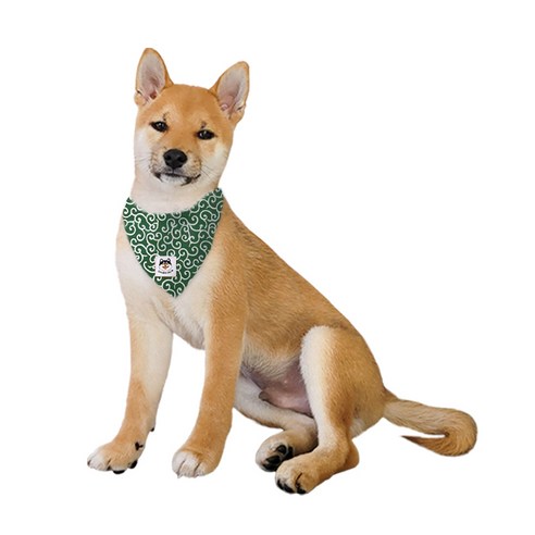 펫코노미 반려동물 당초무늬 패션 스카프, M, 그린