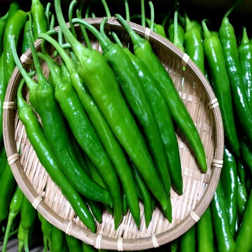 (가락시장까망콩)당일경매 싱싱하고 맛있는 아삭이고추 특 1kg, 1개
