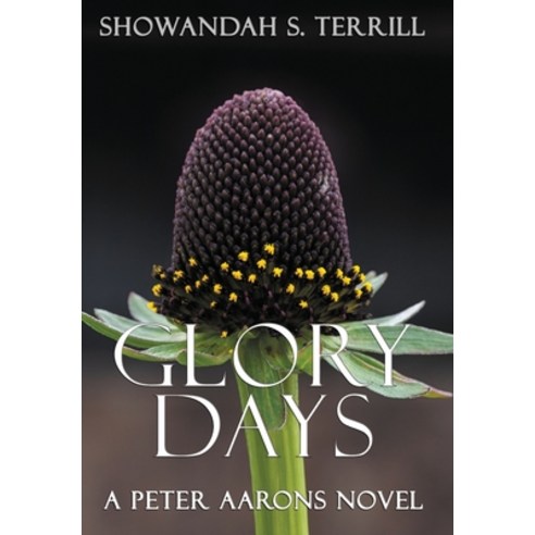 (영문도서) Glory Days (Remastered) Hardcover, Shorthorse Press, English, 9781732805279