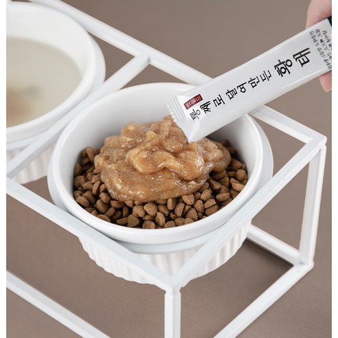 반려동물의 건강과 행복을 위한 영양가 있고 맛있는 간식