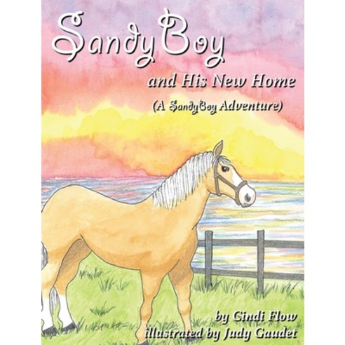 (영문도서) SandyBoy and His New Home (A SandyBoy Adventure) Hardcover, Texas Sisters Press, LLC, English, 9781952041372