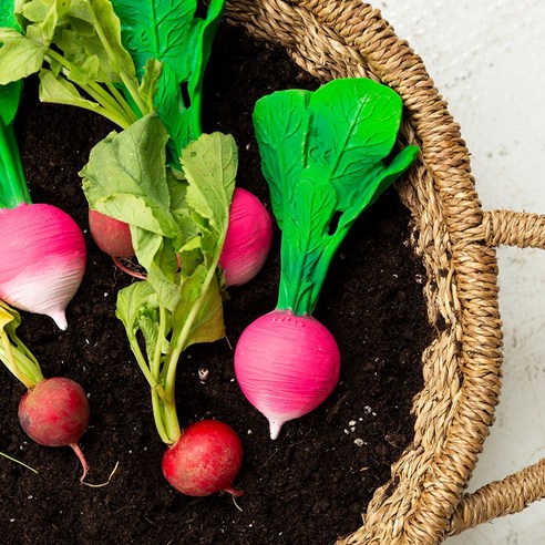 안전하고 똑똑한 올리앤캐롤 치발기로 우리 아기의 건강한 발달을 응원하세요.