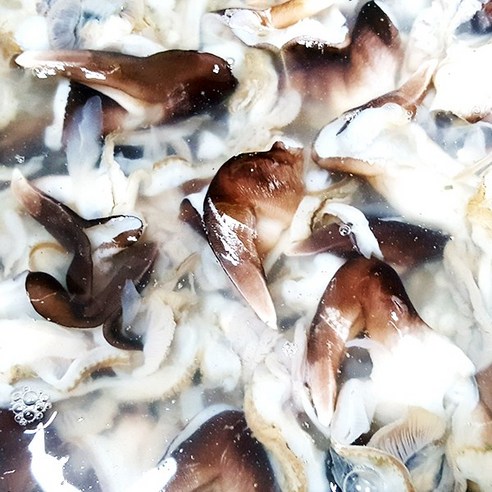 신선한 맛의 당일 조업 손질 새조개로 건강한 식단 만들기