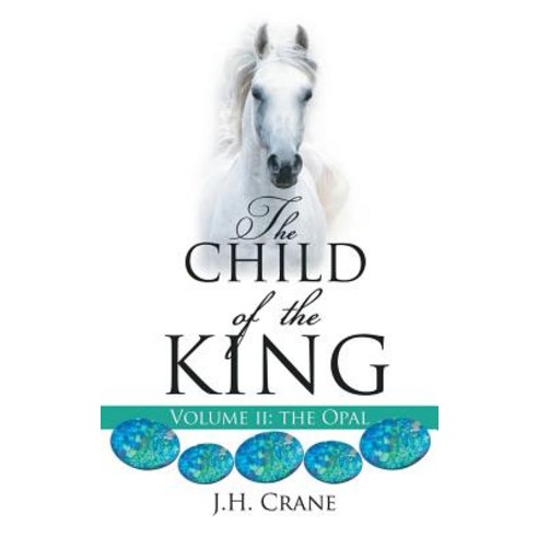 (영문도서) The Child of The King Volume II Hardcover, Xulon Press, English, 9781545635193