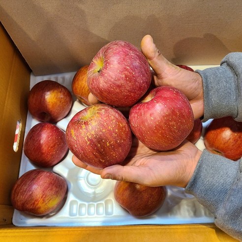 고당도 부사사과, 건강한 맛과 실속의 완벽한 조화