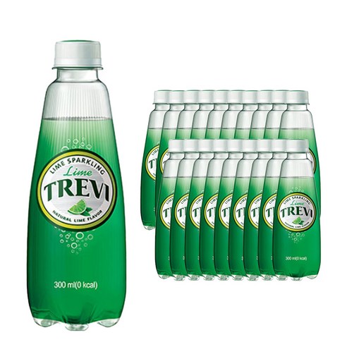 [제트스카이]롯데 트레비, 300ml, 20개