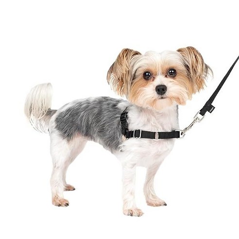 PetSafe Easy Walk No-Pull Dog Harness - The Ultimate Harness to Help Stop Pulling - Take Control & T, Petite/Small, Black/Silver