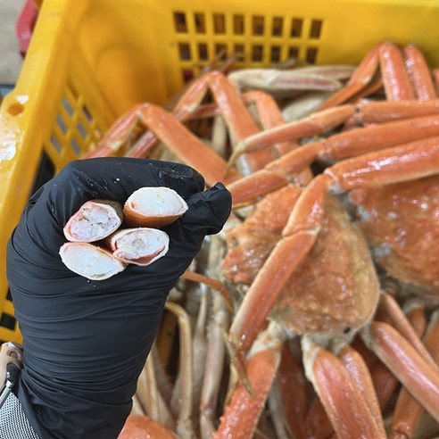 온더스푼 러시아 대게: 해양의 진미를 홈테이블로!