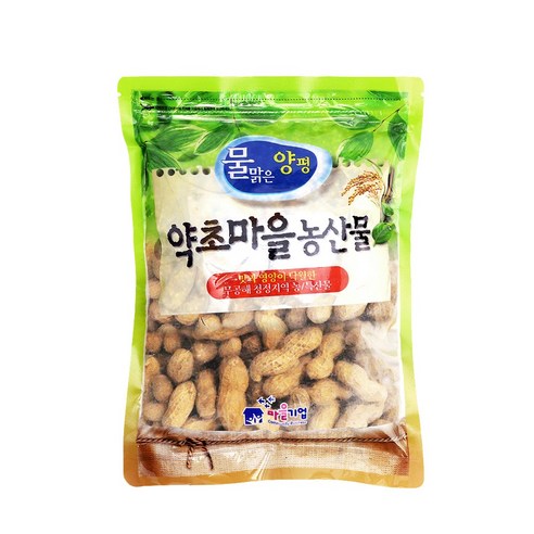 피땅콩 발아땅콩 새싹땅콩 햇 땅콩 2023년산 햇곡 영양간식, 1개, 200g