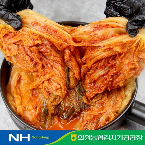 전라도 해남 땅끝 농협 묵은지 100% 국산 농산물 묵은 김치, 1개, 3kg