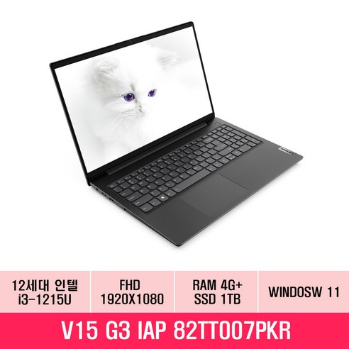 레노버 2022 V15 G3 IAP 15.6, Iron Gray, 코어i3, 1TB, 4GB, WIN11HOME, 82TT007PKR