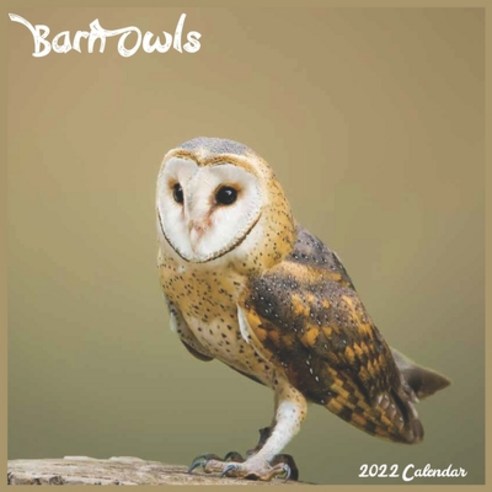 Barn Owls Calendar 2022: Official Barn Owls Birds 2022 Calendar 16 Month Paperback, Independently Published, English, 9798744795696