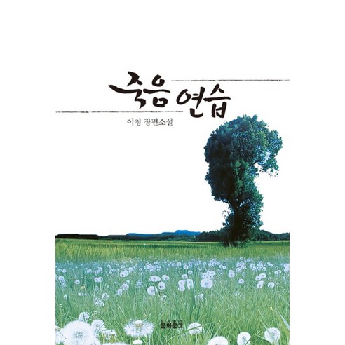 죽음 연습:이청 장편소설, 문화문고, 이청 저