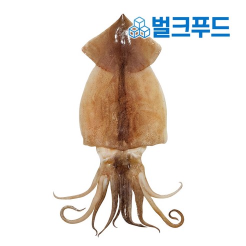 풍미 가득한 벌크푸드 냉동 할복오징어 5kg