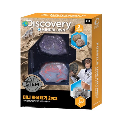 디스커버리 미니 화석캐기 키트 2pcs, 1개