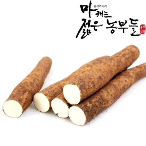 [영파머스몰]마캐는 젊은농부들 마 안동마 장마 참마 생마 햇마, [단중3] 장마 중품3kg, 1개