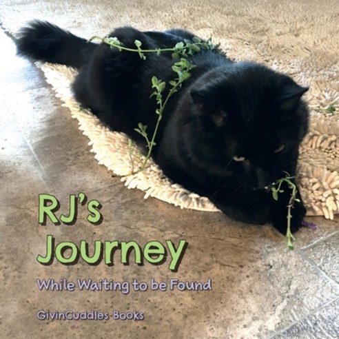RJ''s Journey: While Waiting to be Found Paperback, FriesenPress
