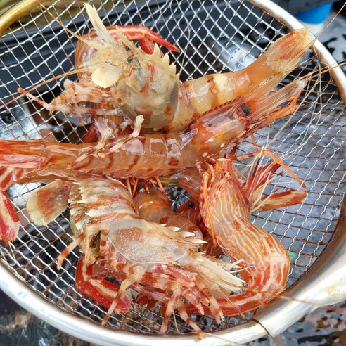 똘망 살아있는 독도새우 꽃새우 닭새우, 활 꽃새우, 1개, 300g