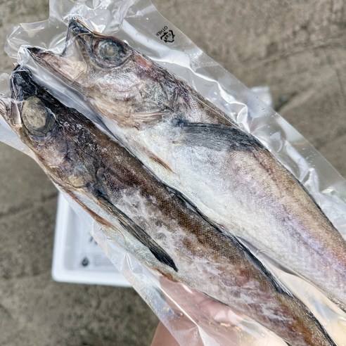 건강한 식단 완성을 위한 반건조 명태 코다리