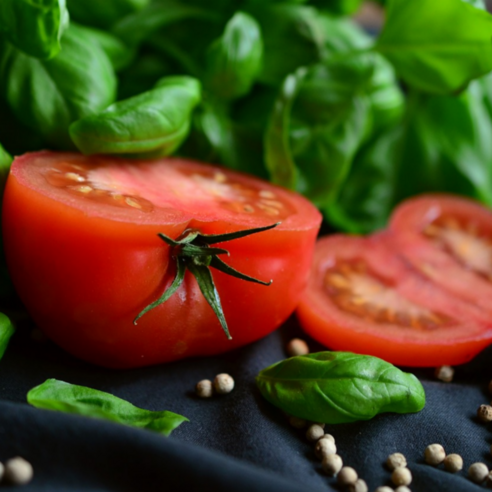 못난이토마토 완숙 찰 토마토, 1박스, 5kg