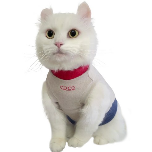 코코테일 아기고양이옷 고양이옷 뚱냥이 고양이 티셔츠, 레드 고양이