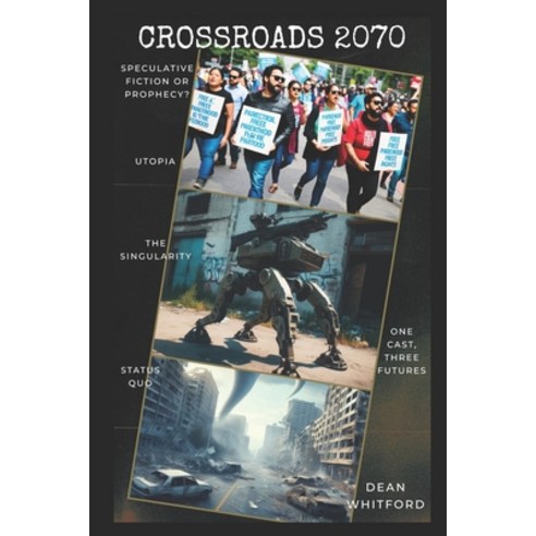 (영문도서) Crossroads 2070: Humanity''s Choices Today Have Consequences. Experience Three Possible Futures. Paperback, Library Archives Canada, English, 9781738188215
