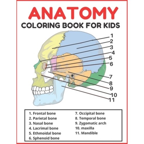 Anatomy coloring book for kids: A human body activity book for kids to know more about the body and ... Paperback, Independently Published